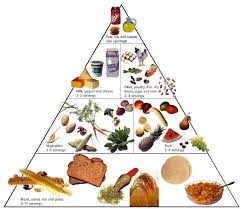 HEALTH 